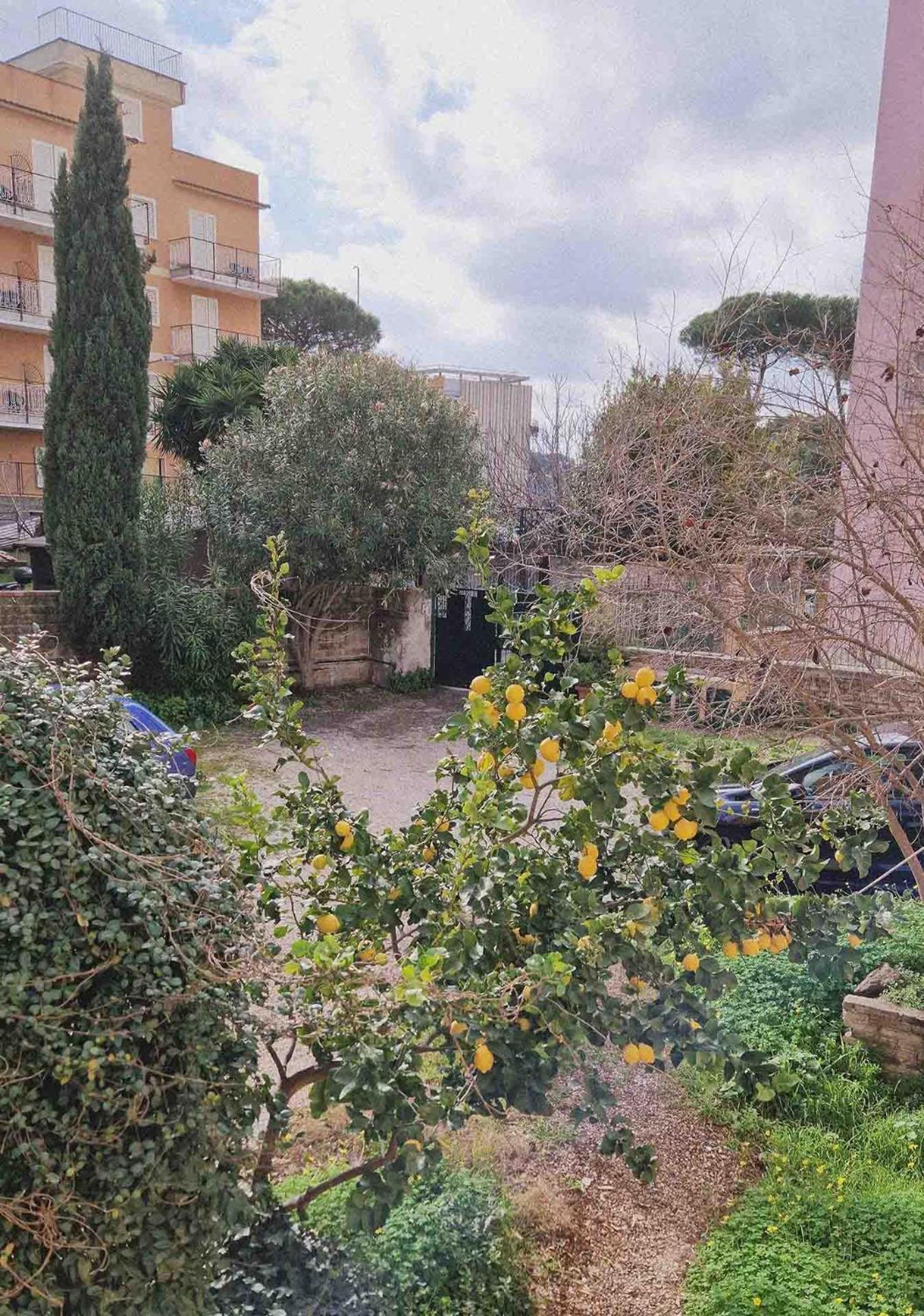 St.peter Station Apartamento Roma