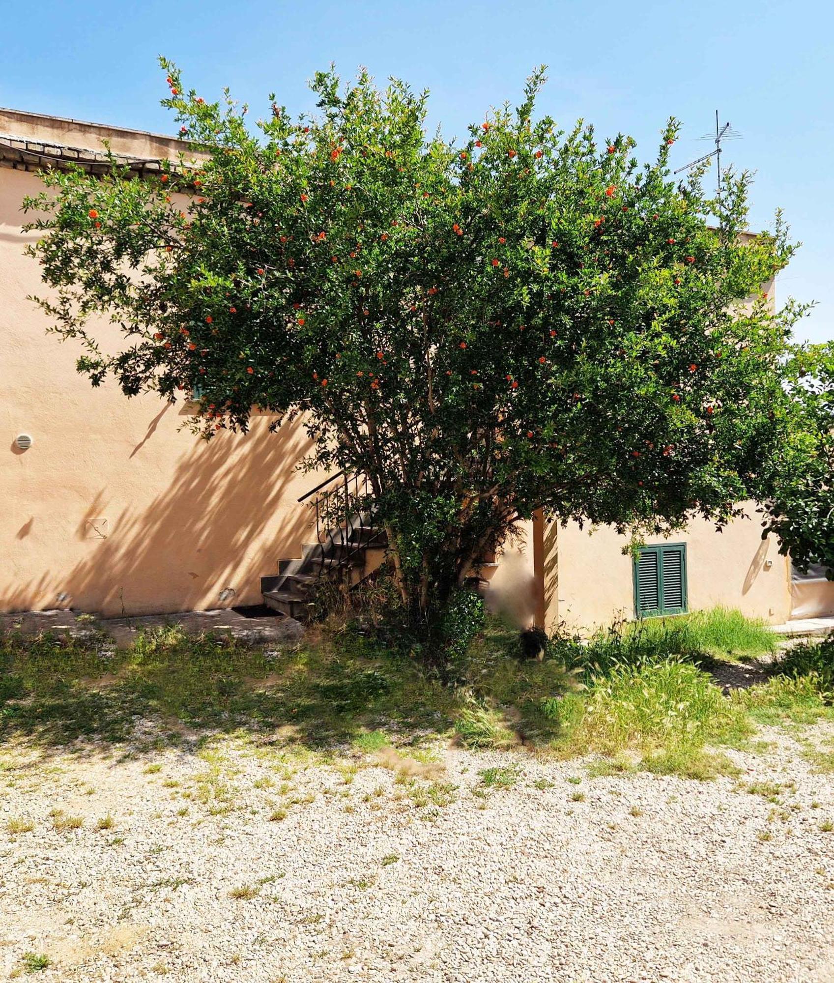 St.peter Station Apartamento *